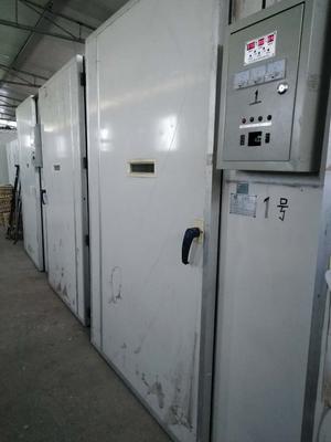 种场孵化室一角